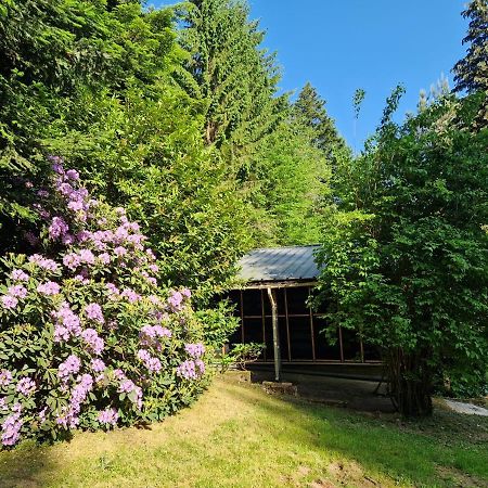 Chalet De La Foret 1 A 6 Pers Saint-Sauveur  Dış mekan fotoğraf