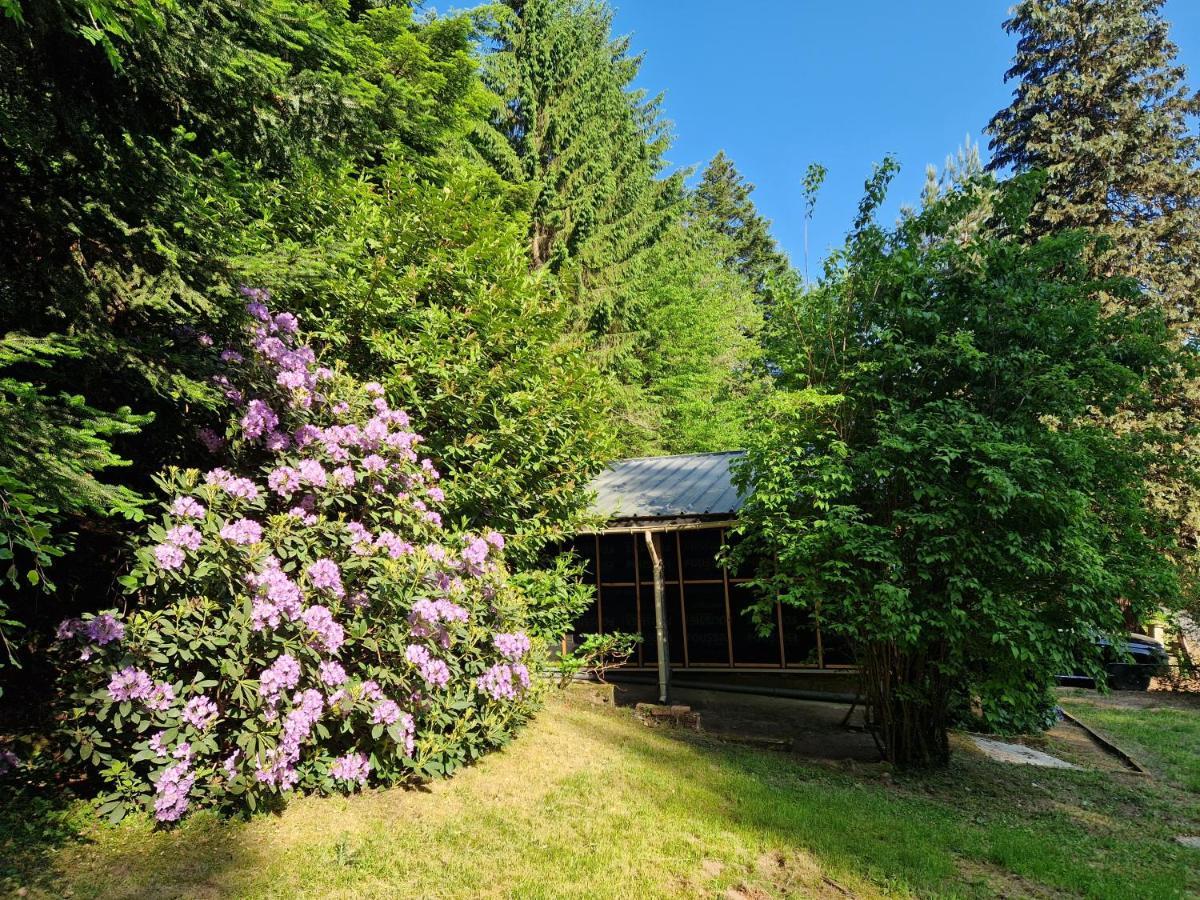 Chalet De La Foret 1 A 6 Pers Saint-Sauveur  Dış mekan fotoğraf